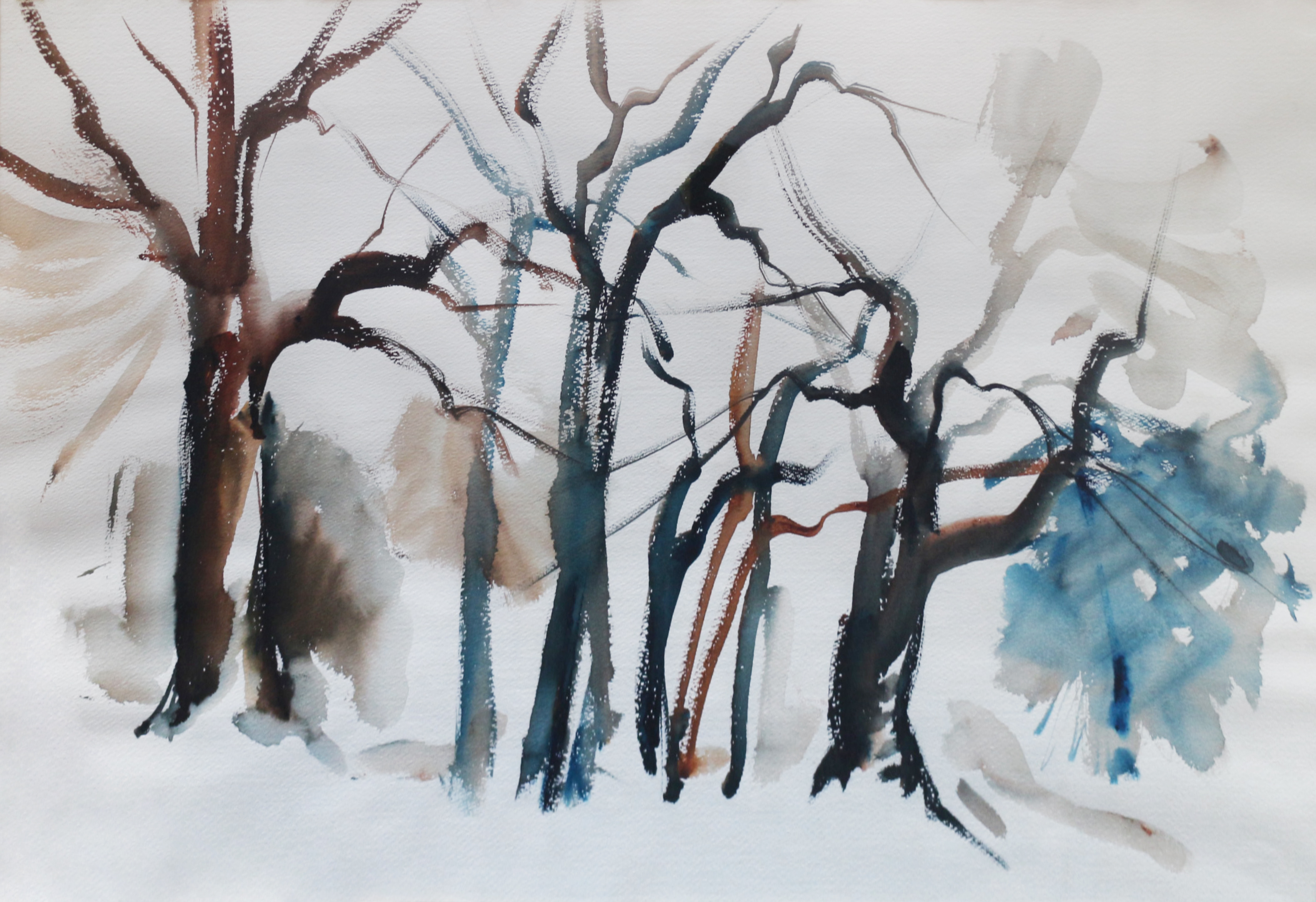 Tree Study, George Dibble